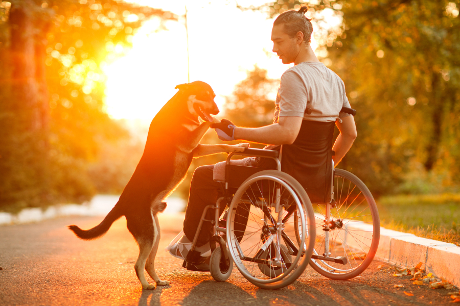 apprécier couché du soleil dans un camping, en fauteuil roulant 